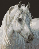 Алмазная мозаика Белый конь GF069