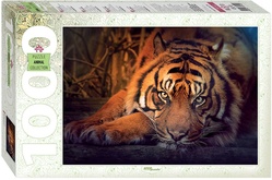 Пазл Сибирский тигр 1000