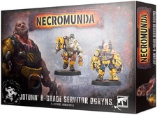 Warhammer 40,000. Necromunda: Jotunn H-Grade Servitor Ogryns