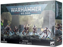 Warhammer 40,000 Necrons: Flayed Ones