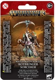 Warhammer Age of Sigmar. Maggotkin of Nurgle: Rotbringer Sorcerer